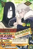 DN-202T[R]：大蛇丸