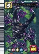 020 [Silver] : Para One O' Dorcus titanus