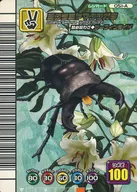 051-A [Kira Red] : Mikulamiyama stag beetle