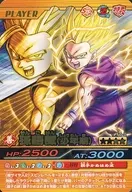 250-III (Kim Rea) : Son Gohan (as a boy)