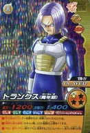 178 IV [Tag] : Trunks (adolescent)