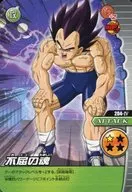 204-IV Normal : The Unyielding Soul