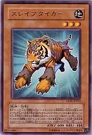 EXP1-JP015 [R] : Slave Tiger