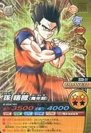 223-IV[非常罕见]:孙悟饭(青年期)