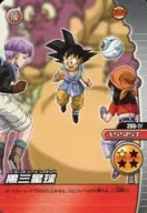 265-IV正常:黑三星球