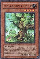 DT08-JP031 [Super Rare] : Natual white oak