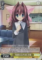 DC/W09-T02 [TD] : Complex Otohime