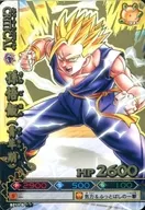 B211-5 (Kim Leh) : Son Gohan (adolescent)