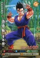 B223-5 [Normal] : Son Gohan (adolescent)