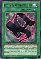 TLM-EN045 [R] : Legendary Black Belt / Legendary Kuroobi