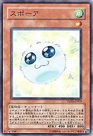 TSHD-JP019[NP]:スポーア