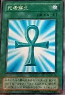 PE-30[N]：死者蘇生