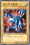SY2-008[N]:守護堡壘的翼龍