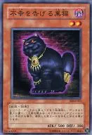 SDM-011[N]：不幸を告げる黒猫