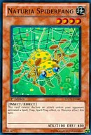 HA02-EN040 [Super Rare] : Naturia Spiderfang / Natual Spider-Fang
