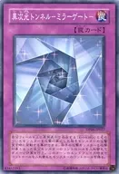 DP06-JP027 [N] : Multi-dimensional tunnel - mirror gate -