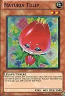 HA03-EN013 [Super Rare] : Naturia Tulip / Natual Triumph