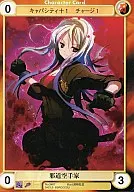 No. 3407 [C] : Wicked Karateka