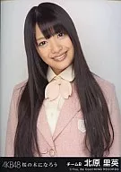 Rie Kitahara / CDs "Let's Become a Cherry Tree" Bonus