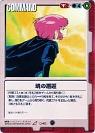 C-45[R]：魂の邂逅