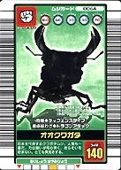 006A : Stag beetle