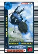 014 : Lançamento do parafuso lateral