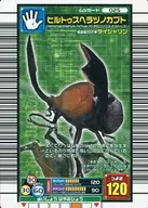 025 : ヒルトゥスヘラヅノ Kabuto