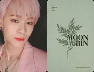 ASTRO / Moon Bin / Bust up / Costume Pink / Face Right Facing / CD "ALL LIGHT" (Green ver.) Special Photo Card