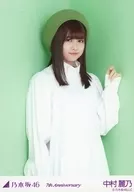 中村山麗乃/膝上·背景绿·/乃木坂46 2019年2月随机生写真