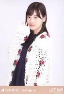 Miki Yamashita / Upper Body Knit Cardigan / Nogizaka46 2019. May-II Venue Limited Random Official photo