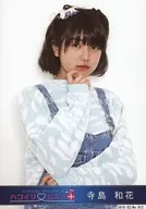 No.012:Hakoirimusume/寺島和花/2019.02/明信片2月ver.