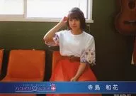No.011:Hakoirimusume/寺岛和花/2019.05/明信片5月ver.