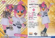 华 11[正规卡片 ] ： HONEY HAWK(平行版 )