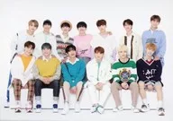 001:SEVENTEEN/集合(13人)/普通卡/"SEVENTEEN JAPAN 1 ST SINGLE'Happy Ending'SHOWCASE>集换式卡