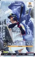 2019C5-P-H006-00 [P] : kenta Imamiya