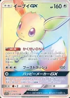 219/173 [HR] : (Kira) Eevee GX