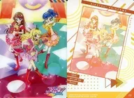 22 ： 紫色吹蘭花 /星星皇宮草莓 /霧箭葵