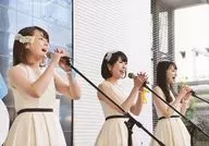 JOQgiRl/集合(3人)/现场照片·横型·膝上·服装白·两手立麦克风·身体向右/光盘