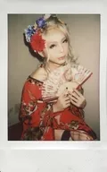 Kameleo / Kouichi / Upper Body / Costume Red / Japanese Clothes / Right Facing / Sitting / Both Hands Folding Fan / Raw Cheki