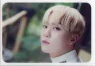 Seventeen / SEUNGKWAN (Boo Seung-kwan) / photo collection "[Dicon] Seventeen Think about CARAT" special photo card