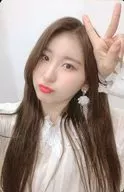 IZ * ONE / Lee Chae-young / Left Hand Piece / Back Fun / Gray / CD "BLOOM * IZ" (I * WAS Ver.) enclosed special photo card