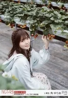 07775:角百合A//NGT48外景拍摄生写真随机2020.March