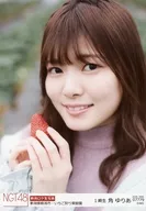 07779 : Yuria Sumi / "strawberry picking Orchard, Niigata-shi, Niigata" "2020. MAR." / NGT48 Location Official photo Random 2020. March