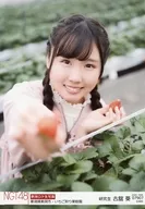 07907 : Aoi Furudate / "strawberry picking Orchard, Niigata-shi, Niigata" "2020. MAR." / NGT48 Location Official photo Random 2020. March