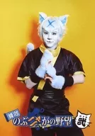 Yuta HIGUCHI (Shalto bi Sasuke) / Knee-high / Costume black / yellow / Matching both hands / Background yellow / Character Tomoshot / Stage "Nobunya no Nozoni" Bromide