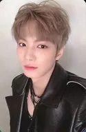 NU’EST/JR/裏面茶色・枠あり/CD「Happily Ever After【Ver.4】」封入特典フォトカード