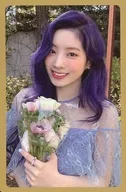 TWICE / Dahyun / CD "MORE & MORE" reservation privilege photo card set C ver.
