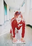 Shiruroto / Mitsunori / Whole body / Costume red / Jersey / On all fours / Left foot stretched / Dust-covered / Official Official photo