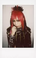 Royz / 公大 / Upper body / Costume black / Gold / Face left facing / Right hand chin / Background white / Raw Cheki