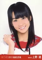 Haruka Ueno / Bust Up / Right Hand Goo / 2013 Grab bag Official photo